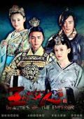 Chinese TV - 王的女人 / Beauties of the Emperor