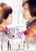 Chinese TV - 因为·爱 / 因为爱,真爱就这么难,Because·Love