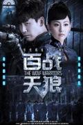 Chinese TV - 百战天狼 / The Wolf Warriors