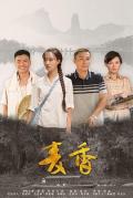Chinese TV - 麦香