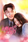 Chinese TV - 闪婚老公太给力