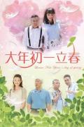 Chinese TV - 大年初一立春 / 全国热恋