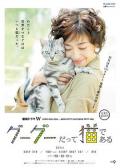 Japan and Korean TV - 咕咕是一只猫 / Gou-Gou Datte Neko Dearu,Gou Gou, The Cat