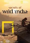 Story movie - 国家地理：狂野印度 / 印度在野,Wild India
