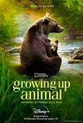 Story movie - 动物成长 / 动物成长轨迹（台）,成长的轨迹（港）