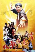 Action movie - 八卦莲花掌 / The Lotus Palm of the Eight Diagrams