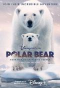 Story movie - 北极熊