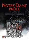 燃烧的巴黎圣母院 / Notre-Dame On Fire,Notre-Dame Is Burning