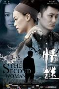 情谜2012 / 孪爱,The Second Woman