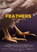 羽毛 / 吉光变羽(台),Feathers