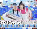 Japan and Korean TV - 第一企鹅! / 企鹅先锋！,First Penguin!