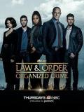 European American TV - 法律与秩序：组织犯罪第三季