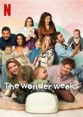 Comedy - 神奇的飞跃周 / The Wonder Weeks