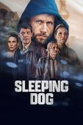 European American TV - 沉睡的真相 / Sleeping Dogs