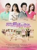 Chinese TV - 因为爱情有奇迹 / 因为爱情有奇缘,家的味道,Because of Love - For Love is a Miracle