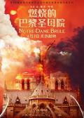 燃烧的巴黎圣母院 / 巴黎圣母院：火海奇迹(港),圣母院大火：世纪浩劫(台),Notre-Dame Is Burning,Notre-Dame On Fire