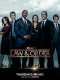 European American TV - 法律与秩序第二十二季