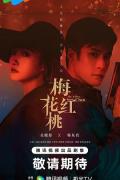 Chinese TV - 梅花红桃