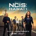 European American TV - 海军罪案调查处：夏威夷第三季