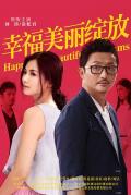 Chinese TV - 幸福美丽绽放 / 后婚姻时代 第二部,幸福两部曲,Happiness Beautiful Blooms