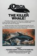 杀人鲸 / 复仇的鲸