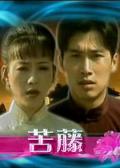 Chinese TV - 苦藤