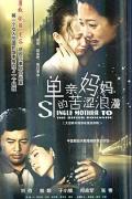 Chinese TV - 单亲妈妈的苦涩浪漫 / Single Mother to the Bitter Romantic