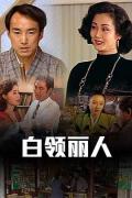 Chinese TV - 白领丽人 / 悲喜四季