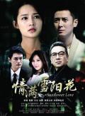 Chinese TV - 情满雪阳花 / 盛开在冬季的太阳花