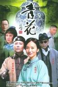 Chinese TV - 青花