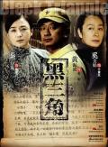 Chinese TV - 黑三角2008