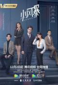 Chinese TV - 小风暴之时间的玫瑰