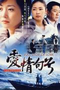 Chinese TV - 爱情句号 / Full Top Of Love