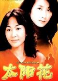 Chinese TV - 太阳花2002
