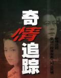 Chinese TV - 奇情追踪 / 黑魅