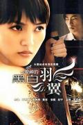 Chinese TV - 爱神的黑白羽翼