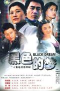 Chinese TV - 股市人生 / 黑色的梦  绝对打击  Black dream