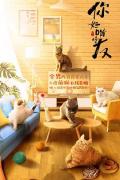 Chinese TV - 你好喵室友 / My Catmate