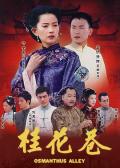 Chinese TV - 桂花巷2002 / 辛家媳婦