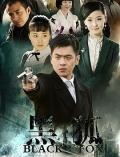 Chinese TV - 黑狐2011