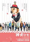 Chinese TV - 神犬小七第一季 / Hero Dog Season 1