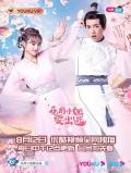 Chinese TV - 花府小姐要出逃 / 花小姐的作妖记,花府小姐又逃婚