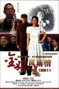 Chinese TV - 金婚·风雨情 / 金婚2  Golden Wedding