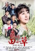Chinese TV - 俺娘田小草 / 我的母亲田小草