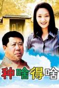 Chinese TV - 种啥得啥