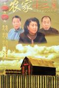 Chinese TV - 农家十二月