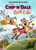 cartoon movie - 奇奇与蒂蒂：公园生活第一季 / 奇奇与蒂蒂  奇奇与蒂蒂：开心乐园  Chip &#039;n&#039; Dale