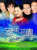 HongKong and Taiwan TV - 流星花园2001 / 花样男子  Meteor Garden