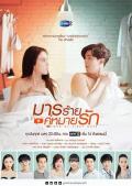 Singapore Malaysia Thailand TV - 你是我的毒玫瑰 / 爱与恨  Love At First Hate