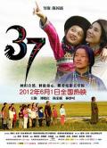 Story movie - 37 / 三十七  The Thirty-Seven